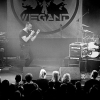 _NZ81577_klein