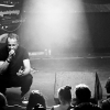 _NZ81589_klein