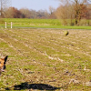 _DSC0895_klein