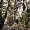 _DSC5502_klein