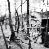 _DSC5513_klein