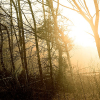 _D4S2898_klein
