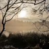 _D4S2923_klein