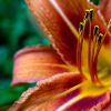 _DSC2225_klein