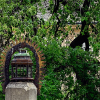 _DSC1141_klein