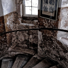 _D3S2235_klein