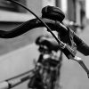 _DSC1448_klein
