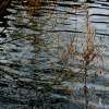 _DSC1451_klein