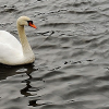 _DSC1461_klein