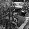 _DSC1483_klein