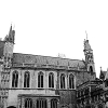 _DSC1511_klein
