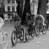 _DSC1512_klein