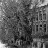 _DSC1547_klein