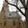 _DSC1555_klein