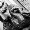_DSC1572_klein