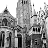 _DSC1575_klein