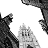 _DSC1580_klein