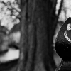 _DSC1606_klein