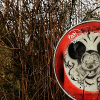 _DSC1620_klein