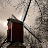 _DSC1693_klein