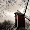 _DSC1694_klein