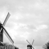 _DSC1697_klein