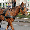 _DSC1781_klein