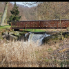 2020-02-29_12.04.45_klein