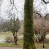 _DSC0676_klein