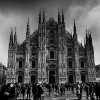 _DSC6954_klein