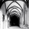 _DSC8343_klein