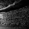 _DSC0294_klein
