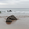 _DSC5518_klein