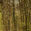 _DSC9956_klein