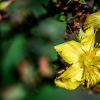 _D3S4588_klein
