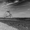 _D3S4600_klein