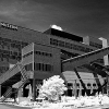 _DSC1578_klein