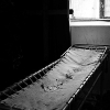 _DSC4393_klein